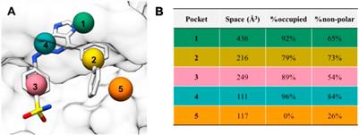 Structure-Based Design of 2-Aminopurine Derivatives as CDK2 Inhibitors for Triple-Negative Breast Cancer